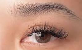 hairstrokes microblading