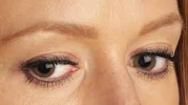 permanente eyeliner bruin