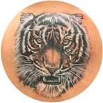 tatoeages