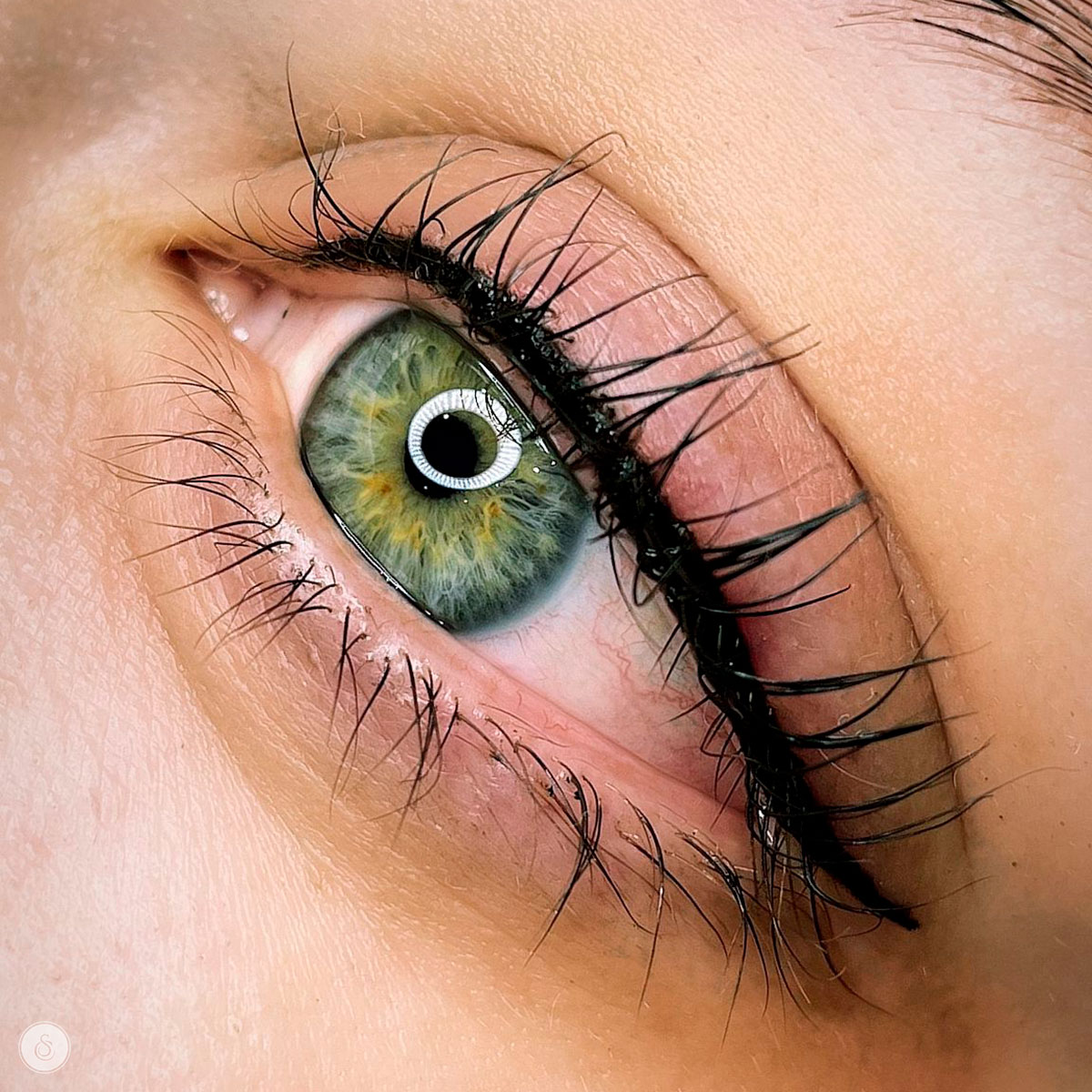 prijzen permanente make up ogen