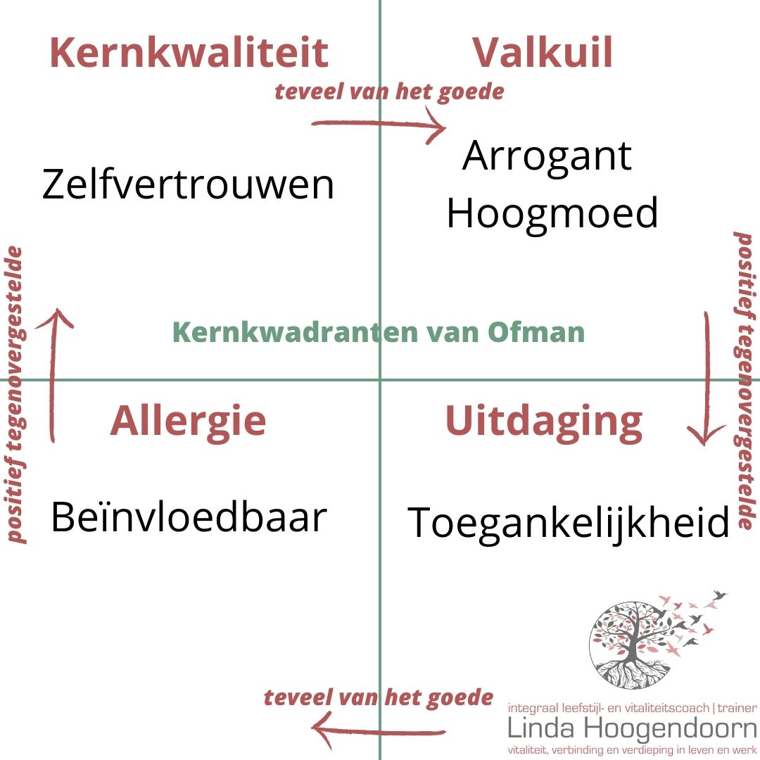 wat is zelfvertrouwen