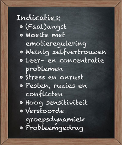 meer zelfvertrouwen krijgen cursus